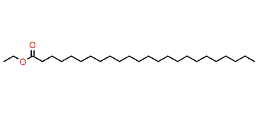 Ethyl tetracosanoate